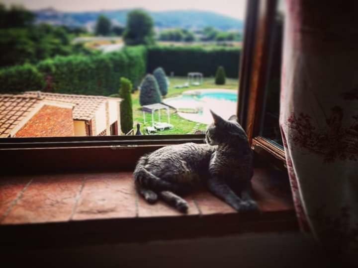 B&B Castello La Pia Dama Residence Guazzino エクステリア 写真